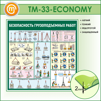     (TM-33-ECONOMY)